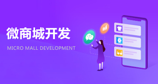 Online and offline sales management system
