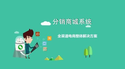 Designated development of erp system