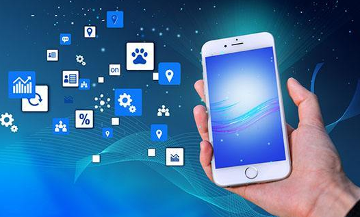 Custom development of NFT digital collection system
