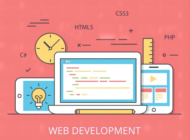 Designated development of erp system